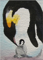 watercolour penguin aceo