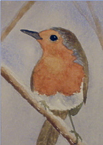 watercolour robin aceo